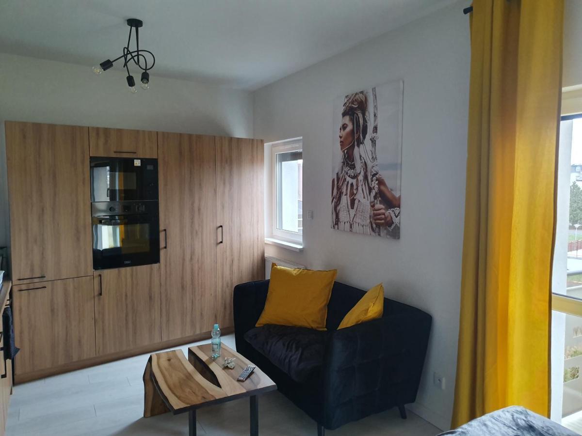 Apartament Sloneczny Sienkiewicza 3A ليشنو المظهر الخارجي الصورة